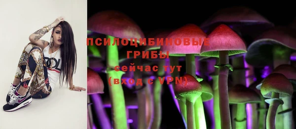 кристаллы Новозыбков