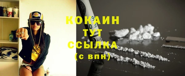амф Няндома