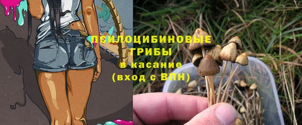 spice Ветлуга