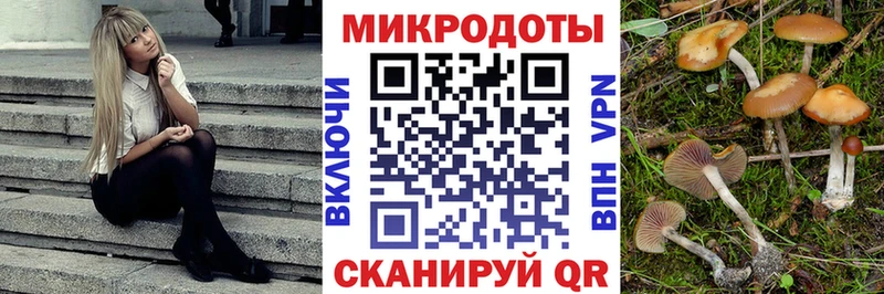 Галлюциногенные грибы GOLDEN TEACHER  Яровое 